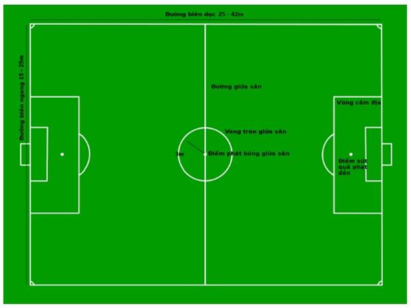 Diện tích sân bóng đá đúng chuẩn theo quy định quốc tế