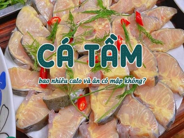 Cá tầm bao nhiêu calo? Ăn cá tầm có béo không?