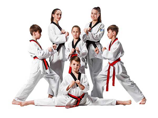 Tổng hợp các đòn đấm trong Taekwondo chuẩn xác