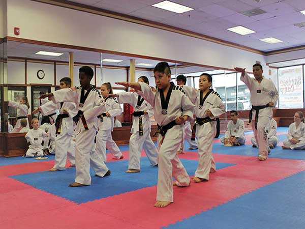 Bộ môn võ Taekwondo là gì?