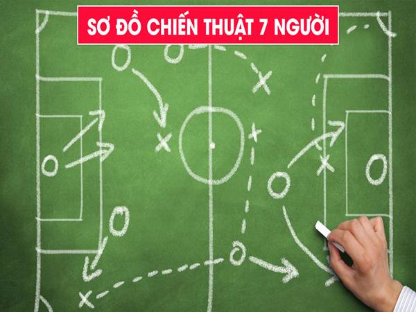 Sơ đồ sân 7 người